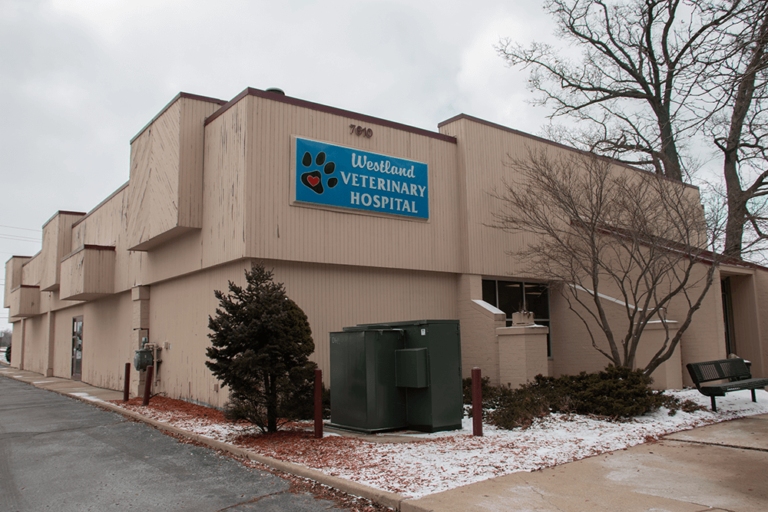 Tour & View Our Hospital | Westland Veterinary Hospital